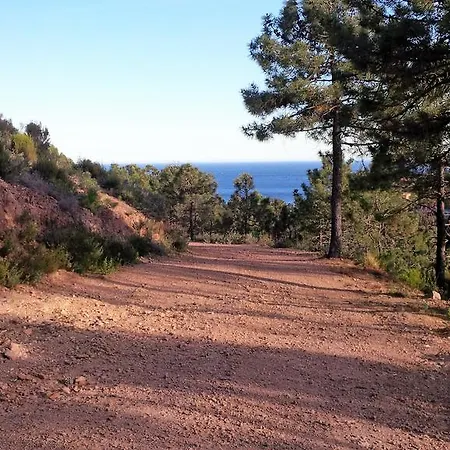 Cote D'azur - - Miramar *