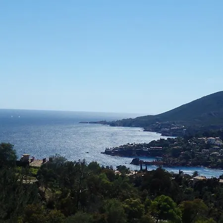 Apartment Cote D'azur - - Miramar