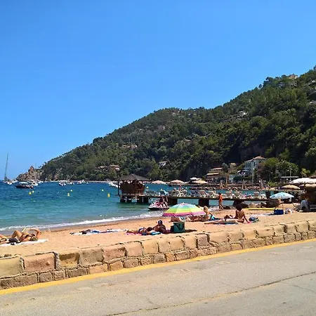 Apartment Cote D'azur - - Miramar